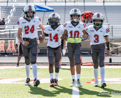 Paladin Football Club - Game Shot